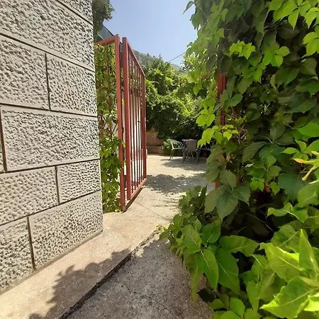 Niko Ii 5 Min To Center *