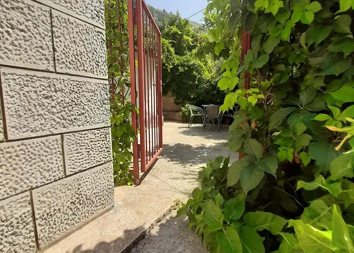 Niko Ii 5 Min To Center *